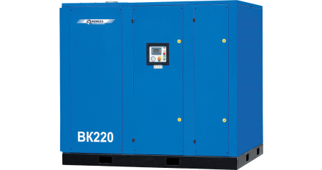 Винтовой компрессор Remeza ВК220-7,5 (ВС) с прямым приводом