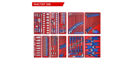 Набор инструментов МАСТЕР 256 для тележки МАСТАК 5-00256 (11 ложементов, 256 предметов)