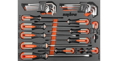 Набор стержневых отвёрток и торцевых ключей OMBRA OMT29STE